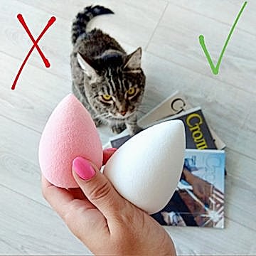 спонжи для макияжа и кот